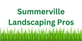 Sod Installation Summerville SC | Residential & Commercial